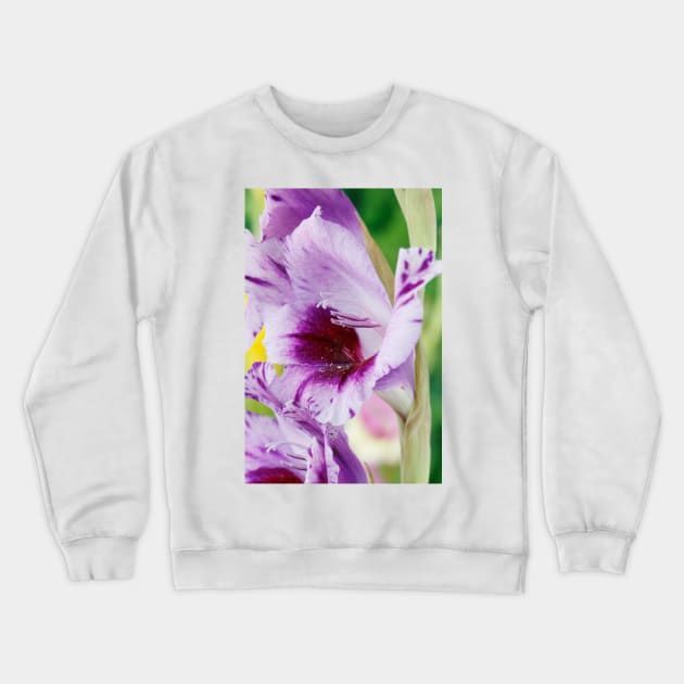 Gladiolus  'Passos' Crewneck Sweatshirt by chrisburrows